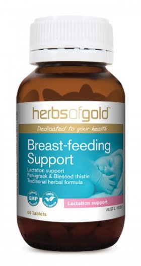 BREAST FEEDING SUPPORT